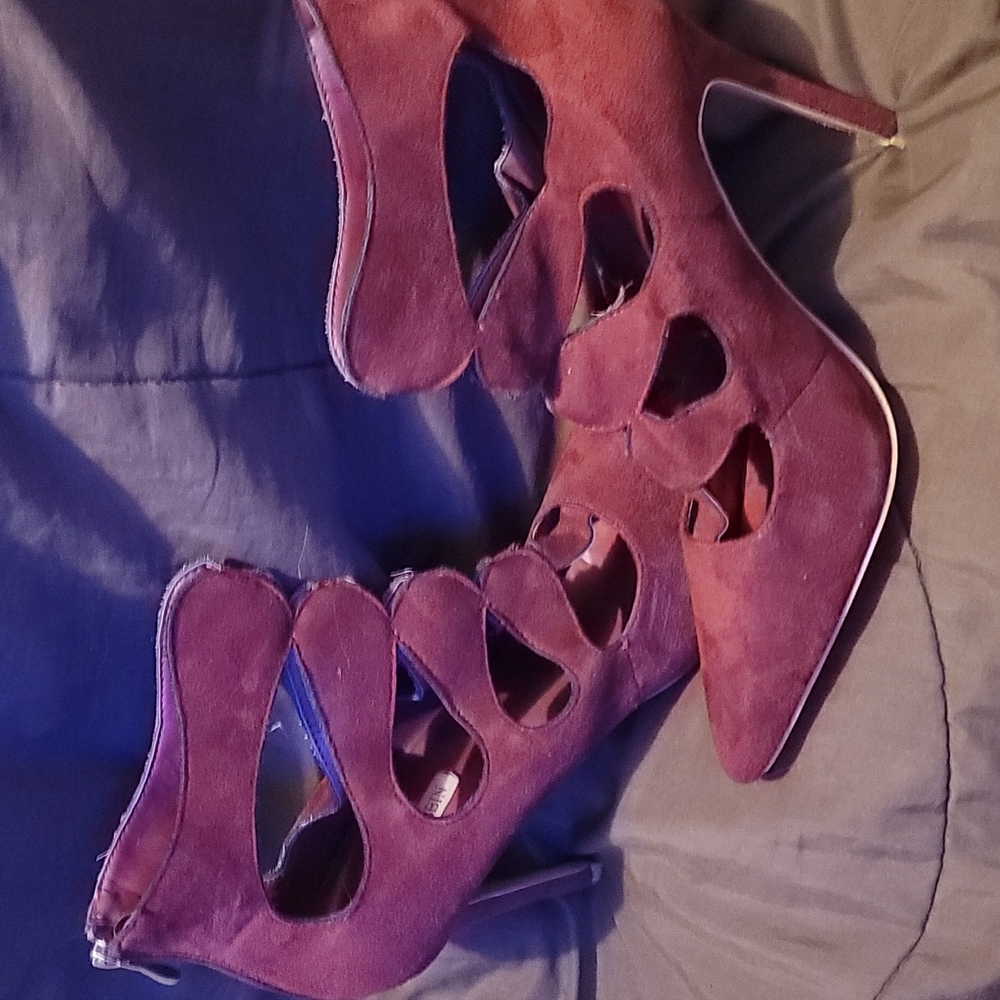 Cape robin heels